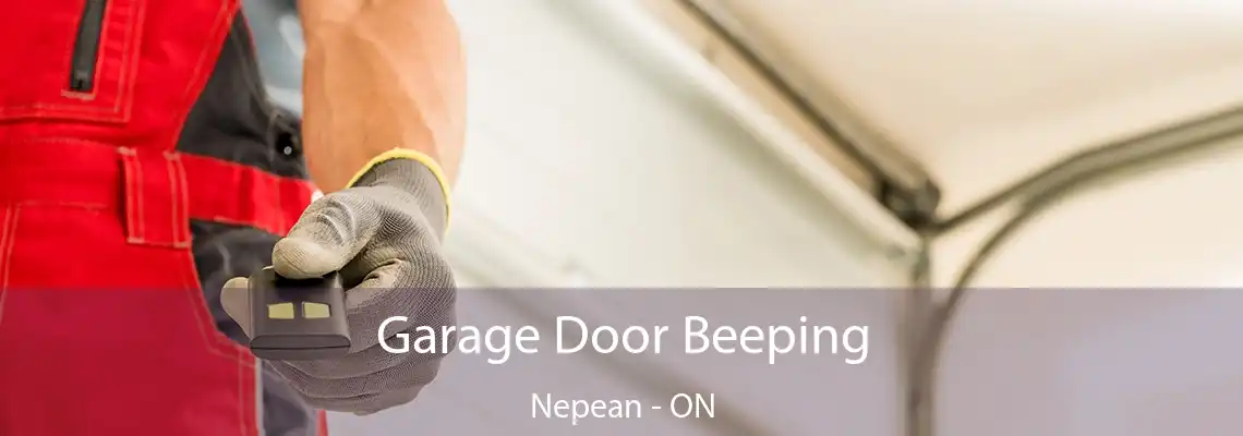  Garage Door Beeping Nepean - ON