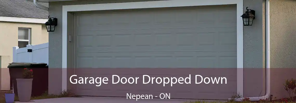 Garage Door Dropped Down Nepean - ON