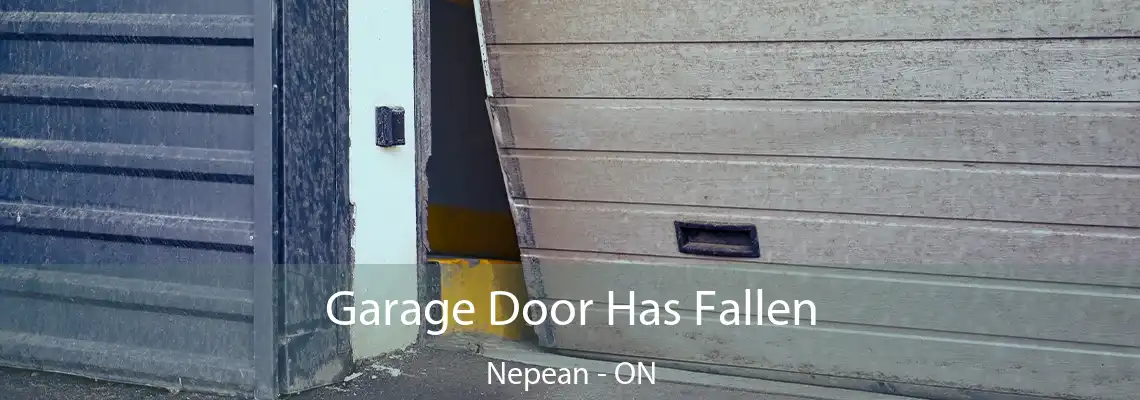  Garage Door Has Fallen Nepean - ON