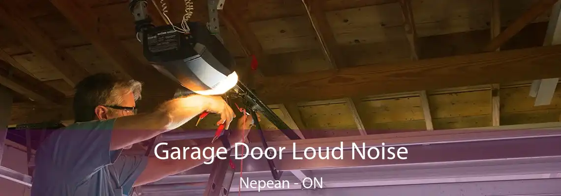 Garage Door Loud Noise Nepean - ON