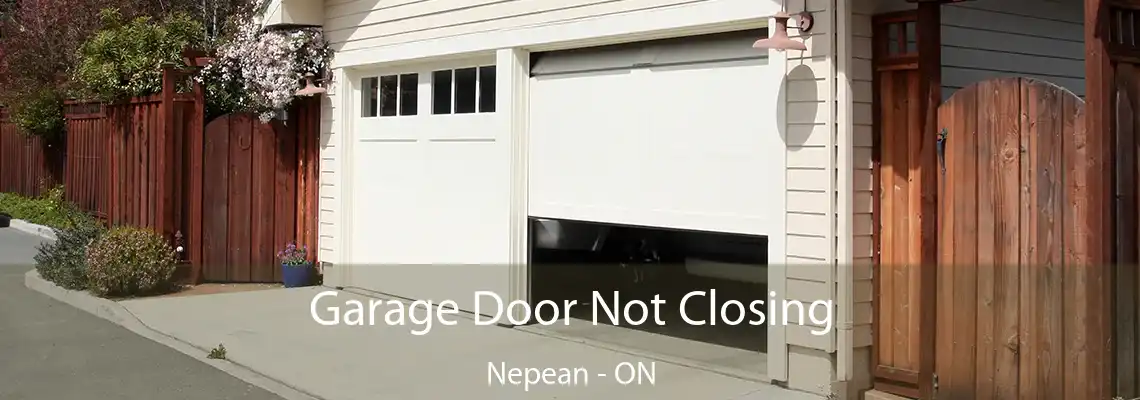 Garage Door Not Closing Nepean - ON