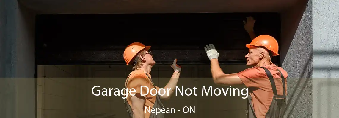 Garage Door Not Moving Nepean - ON