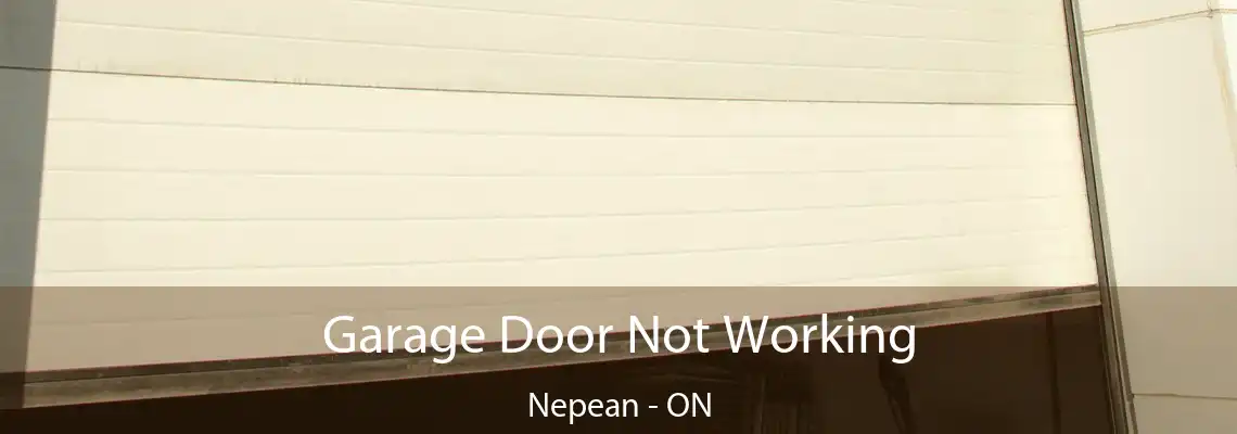  Garage Door Not Working Nepean - ON