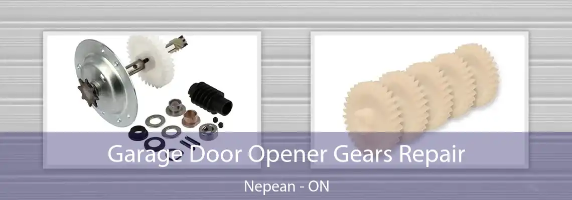 Garage Door Opener Gears Repair Nepean - ON