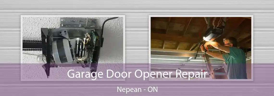  Garage Door Opener Repair Nepean - ON