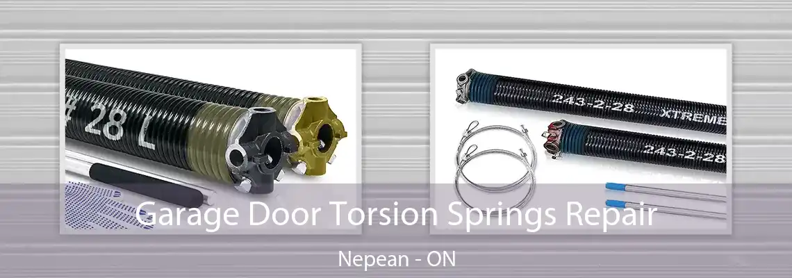 Garage Door Torsion Springs Repair Nepean - ON
