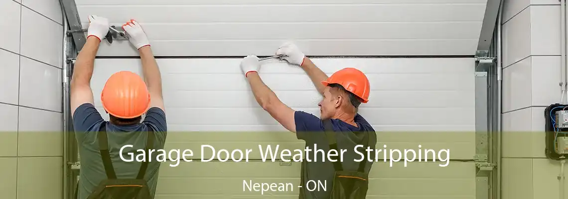  Garage Door Weather Stripping Nepean - ON