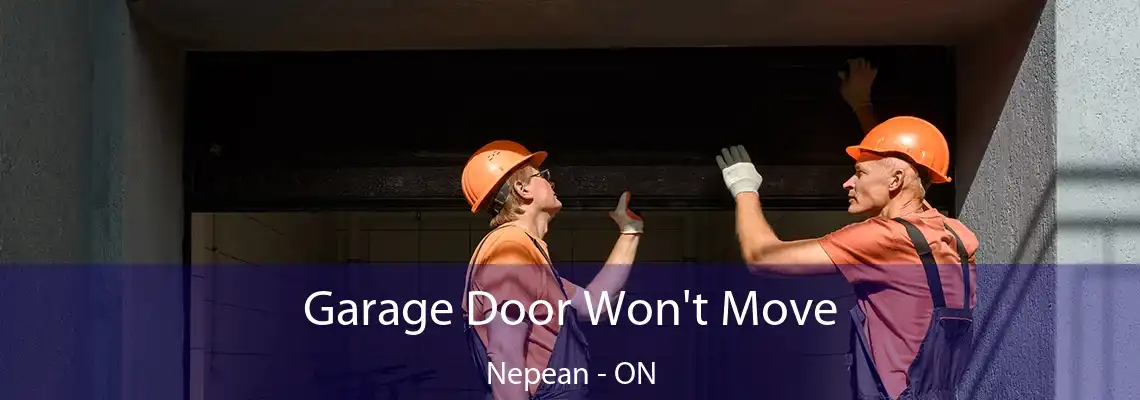 Garage Door Won't Move Nepean - ON