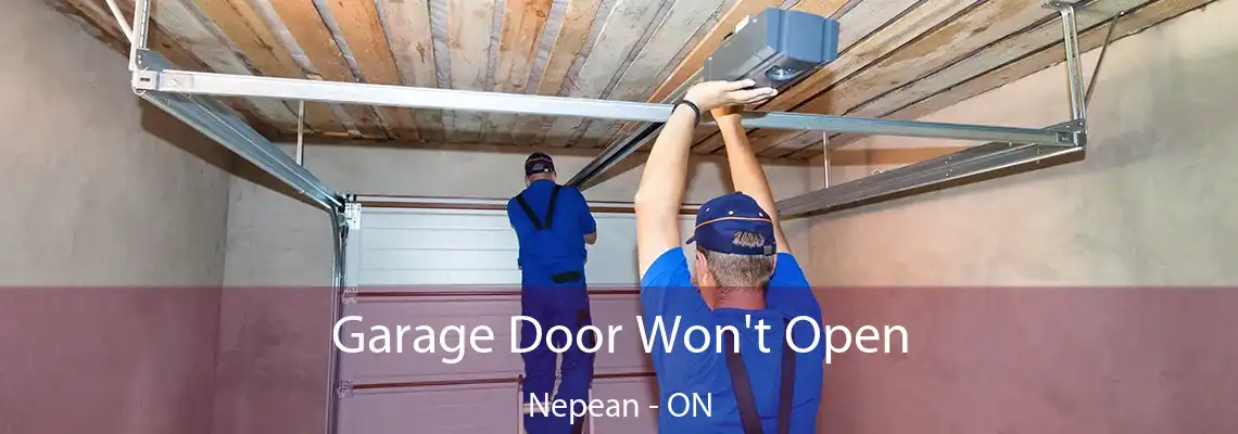  Garage Door Won't Open Nepean - ON